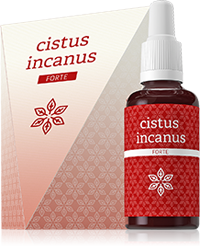 CISTUS INCANUS FORTE