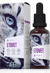 Etovet