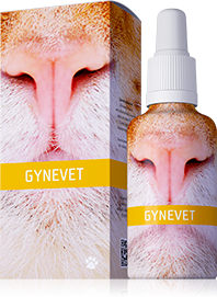 GYNEVET