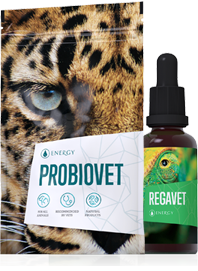 REGAVET + PROBIOVET (-15%)