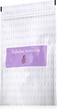 Tribulus / Királydinnye  tea