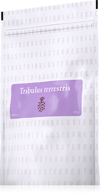 Tribulus terrestris čaj