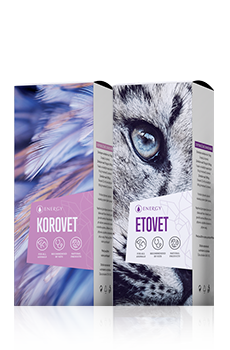 A: KOROVET + ETOVET(-15%)