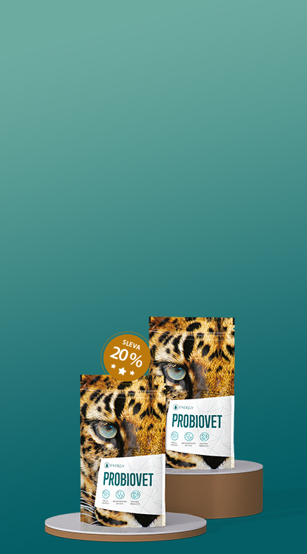 pozadí