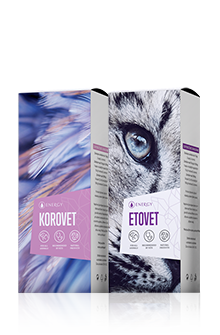 korovet_etovet