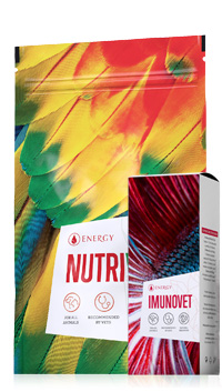 A: Imunovet + Nutrivet (-20%)