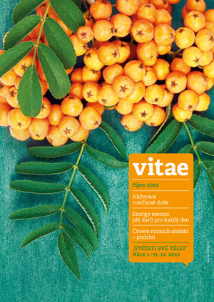 Magazín Vitae