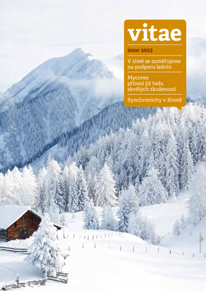 Magazín Vitae