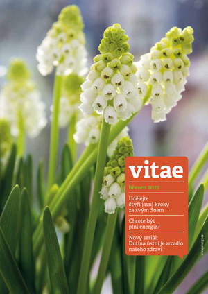 Magazín Vitae